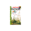VEGETACION, MANUALES PARRAMON TEMAS PICTORICOS