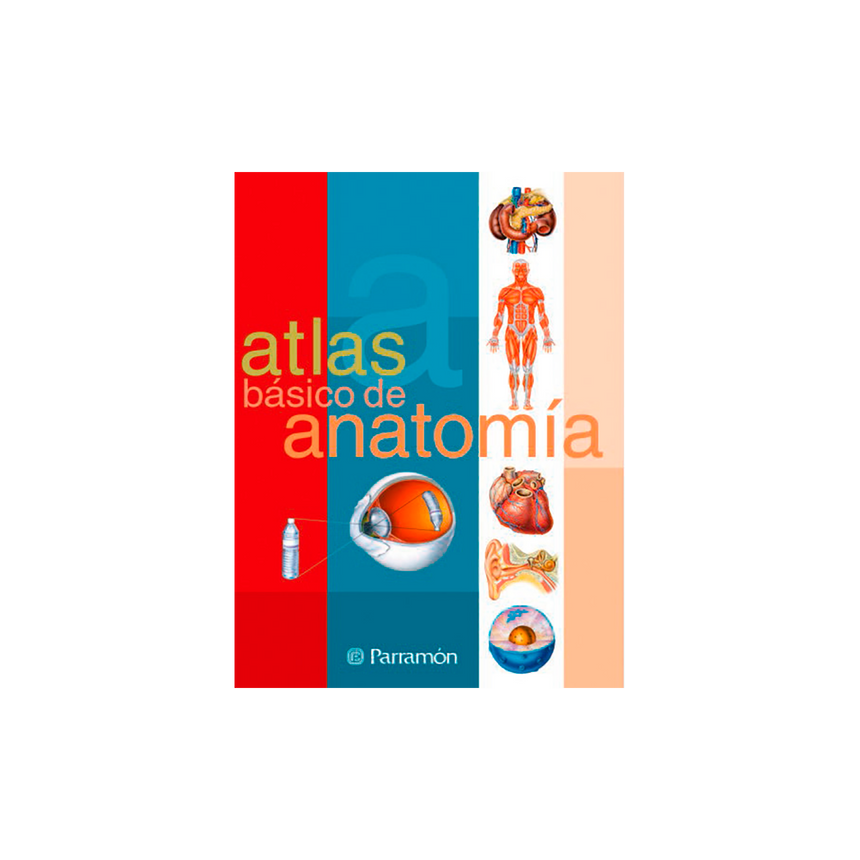 ATLAS BÁSICO DE ANATOMÍA