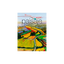RECETAS PARA PINTAR PAISAJE
