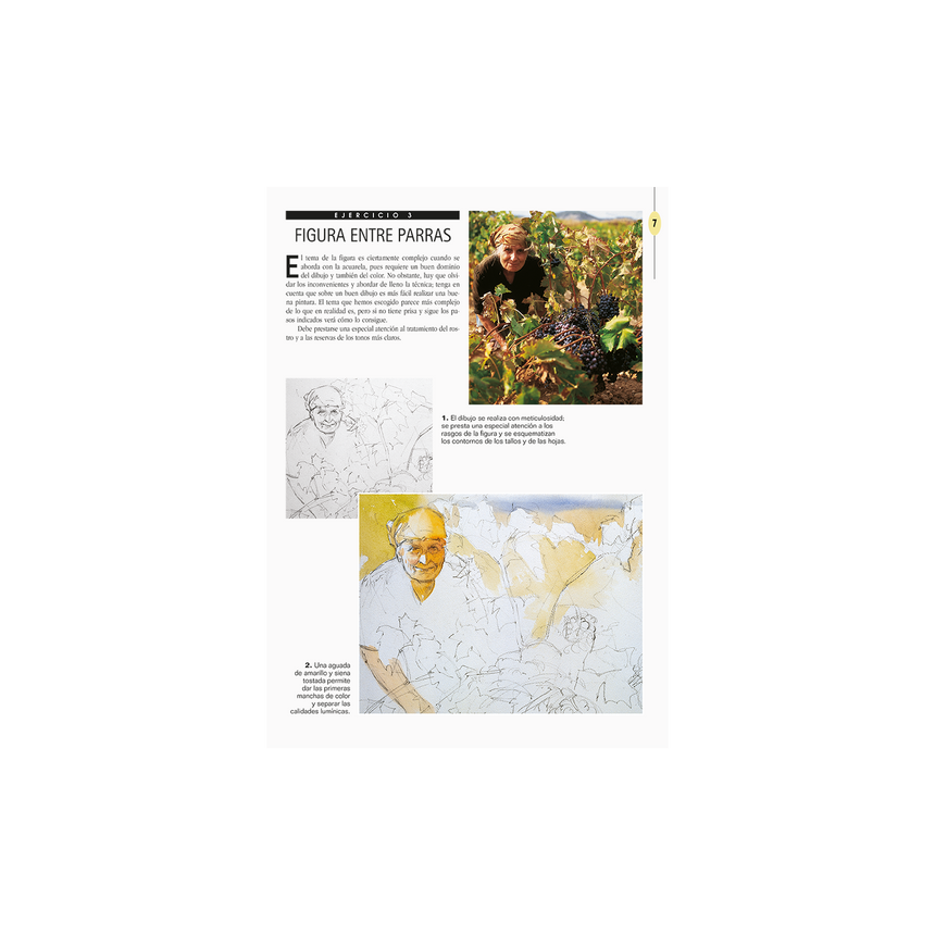 EJERCICIOS PARRAMON ACUARELA 2