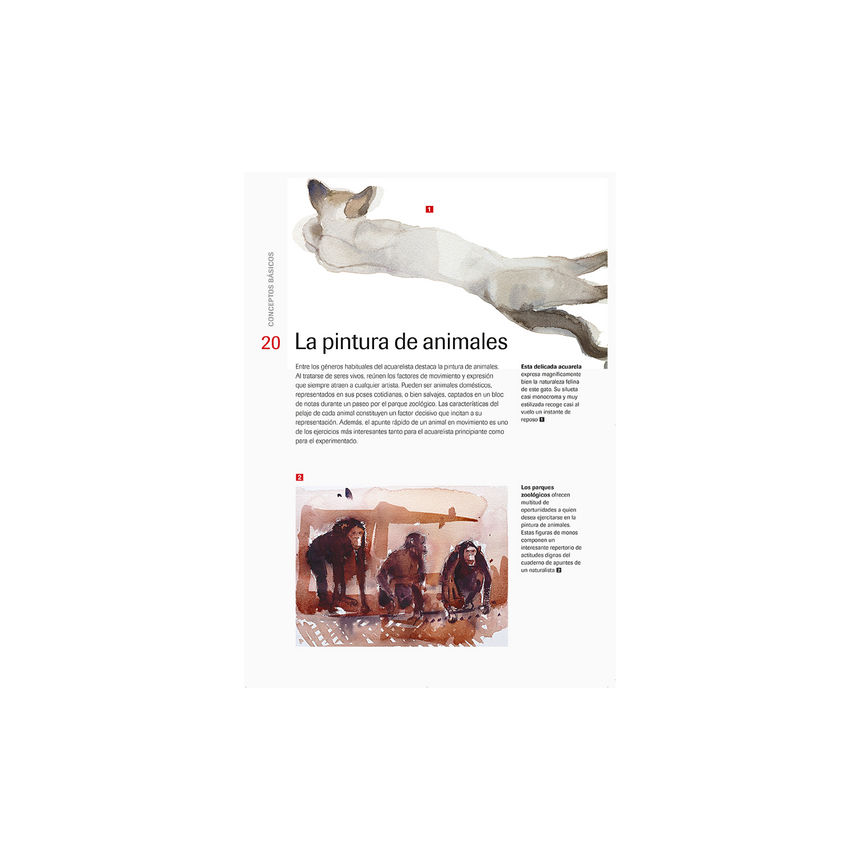LA TECNICA DE LA ACUARELA, CUADERNO DEL ARTISTA