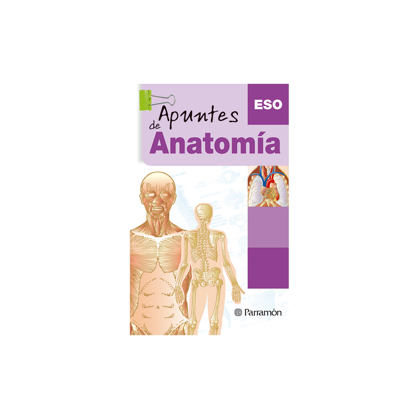 APUNTES DE ANATOMÍA